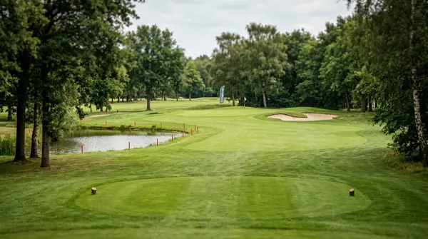 Att förstå golfbanan