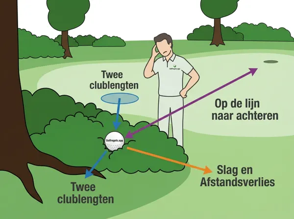 Unplayable Ball (Rule 19)