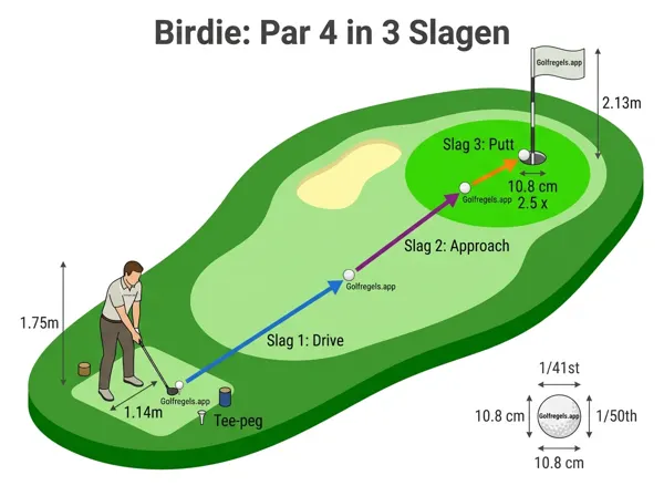 Illustration for Birdie